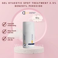 [Company product] Hyaestic Spot Treatment Gel 2.5% Benzoyl Peroxide 15ml