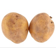 Ubi Kentang (Potatoes) 1kg