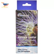 Aiptasia Control Maxspect - goosefoot anemones for marine aquariums