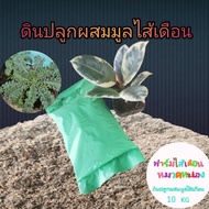 ถุงใหญ่ ดินปลูกผสมมูลไส้เดือน สูตรพิเศษ น้ำหนัก10 กิโลกรัม