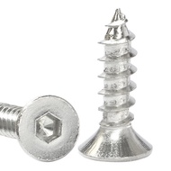 Self-Flat Head Screw Tapping Self-Stainless Steel Screw Head Screw Screw Countersunk Tapping Daquan 