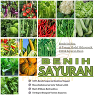 Benih sayuran bibit sayuran unggulan paket lengkap tanaman sayuran hidroponik wortel bayam kangkung 
