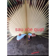 Combo of 5 young palm leaves for church flowers at cheap price