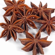 STAR flower /STAR ANISE 100g 500g 1kg