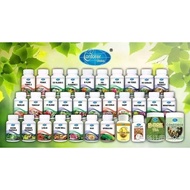 【正品保证】Conforer康福乐草药  H16 H17 H18 H19 H20 H21 H22 H24 H26 H29 H31 H32