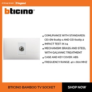 Bticino Bamboo TV socket