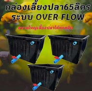 อ่างเลี้ยงปลา 65 ลิตร overflow 64x44x31ซ. พร้อมระบบวาวล์เปิดปิดน้ำ กะบะเลี้ยงปลา อ่างเลี้ยงปลา อ่างเ