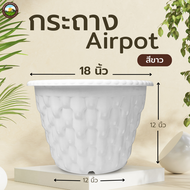 Airpot 18 นิ้ว กระถางปลูกสายเขียว กระถางเร่งราก ขนาด 18 นิ้ว