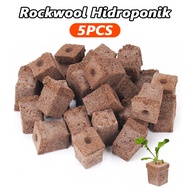 5PCS rockwool hidroponik Grow Sponge span hidroponik rockwool span bunga For Growing Succulents/Vege