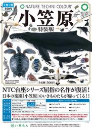 【奇蹟@蛋】預約07月新品IKIMON (轉蛋) NTC圖鑑-小笠原特裝版        全6種整套販售