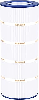 Wowreed Pool Filter Replaces Clean and Clear 100, Unicel C-9410, CCRP100, PAP100, Filbur FC-0686, R1