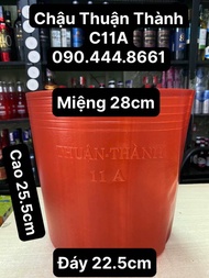 [C11A] Combo 100 Cái Chậu Nhựa Mềm Thuận Thành-Mẫu C11A Đỏ