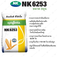 เมล็ดพันธุ์ข้าวโพด NK6253 เมล็ดเบอร์ 3หุน ต้นแข็งดี สีได้เนื้อ | Syngenta | ขนาด 10กก.