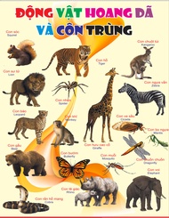 Bảng Tập Đếm Số Thứ Tự Từ 1 Đến 100 Bằng Tiếng Anh Dạng Dán Tường Không Đinh Decal Dán Cho Bé Lớp Ti