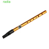RADIANTZAP Irish Whistle Flute, 6 Hole D Key Ireland Flute, Musical Accessories Gift Professional Al