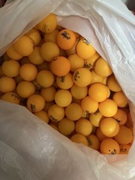 乒乓波 乒乓球 1星訓練球 （平賣）