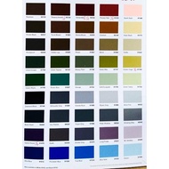 Part6 1LITER SANCORA Weather Guard ADVANCE Acrylic Exterior Wall Finish CAT LUAR