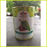 ➾ ✹ ✨ Sultan F1 Bell Pepper Seeds 25g