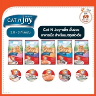 Cat N Joy Food All Formulas {2.8-3g}