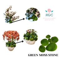 Artificial Moss Stone / Batu Lumut