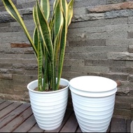 Pot Bunga Murah Pot Bunga Pot Bunga Putih Pot Bunga Plastik Pot Putih