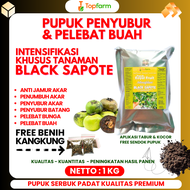 Pupuk Black Sapote / Pupuk Pohon Black Sapote / Pupuk Pembesar Buah Black Sapote / Pupuk Khusus Tana