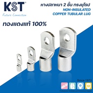 KST European Style Thick Fishtail 10mm2-35mm2 Fiber Cable TLCL Series Model