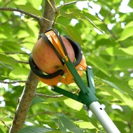 Fruit picker, three-claw fruit picker, fruit picker, pear picker, multi-purpose apple picker