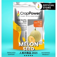 (500 SEEDS) Biji Benih Melon Golden Princess 香妃 ML1888 CROP POWER F1 HYBRID Galia Melon seeds 蜜瓜种子  