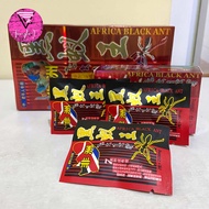 Kapsul Africa Black Ant 100% Original - Semut Hitam Afrika 1 Box Kecil