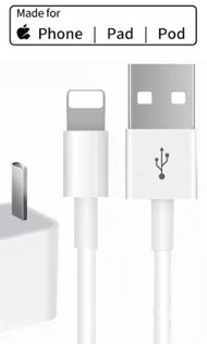 Apple iPad, iPhone fast charge wire 快速充電數據線充電線 （如圖）