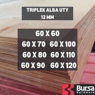 ALBA UTY Custom Plywood 12mm Multiplex Plywood 60cm Width 60-120cm Length