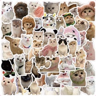 60pcs Cute Kittens Cats MEME Waterproof Stickers For Notebook Laptop Helmet Decal Student DIY Materi