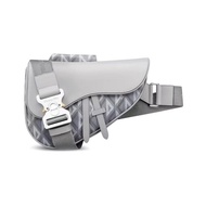 Tas sling bag Saddle Bag Dior Gray CD Diamond Canvas and smooth skin