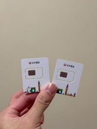 2個 15天 100 GB【日本】4G上網卡｜docomo｜插卡即用