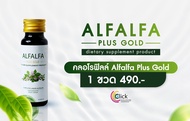 🌱คลอโรฟิลล์น้ำ 100% อัลฟัลฟ่า พลัส Alfalfa Plus Gold (ของแท้)