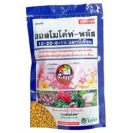 Baja Osmocote Slow Release Thailand 100g