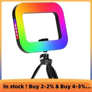 Portable RGB Handheld  Rechargeable Live Cell Phone Photography Desktop Selfie Light