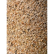 1kg Mixed seeds (mixed seeds) for bird's nest jelly, finch lines