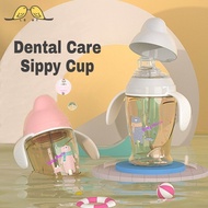Dental Care Sippy Cup / Sippy Bottle / Learning Cup 280ml