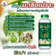 ปุ๋ยน้ำสำหรับมะเขือเปราะ ซิกม่า 21-3-3 ตราเจ้าทิพย์ ปุ๋ยน้ำเร่งใบ เร่งตอกยอด ขยายกอ ฟื้นฟู้ต้นหลังเก