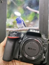 Nikon D7100 不是D7000 D7200 D7500