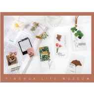 Set of 10 PVC panels for decorative tags/frames