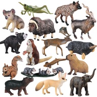 Children Science Education Cognitive Toys Simulation Wildlife Model Iguana Squirrel Pig Goat Bag Bad