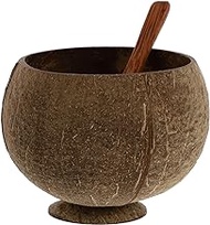 UPKOCH 1 Set Coconut Shell Dessert Cups Candy Bowl Container Salad Bowl Bowls with Spoons Ice Cream Small Shell Asian Rice Bowl Hawaiian Breakfast Bowls Wood Bowl Juice Fruit Cup Banquet