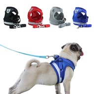 TALI TUNTUN - Size M HARNESS KUCING / HARNESS KUCING / TALI TUNTUN ANJING / TALI KUCING HARNESS