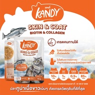 อาหารเปียก แคนดี้ Kandy ดีต่อไต คัดเกรดวัตถุดิบ ไม่ใส่เกลือ ไม่ใสน้ำตาล 70 กรัม