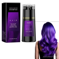 Black Hair Shampoo, Black Hair Dye Shampoo 3-in-1, Hair Colour Shampoo, Grey Attack Shampoos Anti Gr