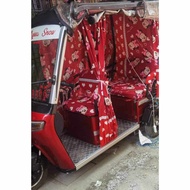 SEAT COVER SET AND CURTAIN FOR E-BIKE 3 WHEELS NWOW, ERVS 2, ERVS 3 , CHANDA,HAMSUN ETC