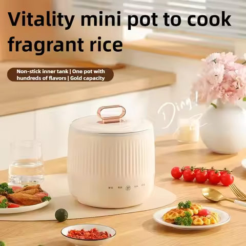 Rice Cooker Mini Frying Steaming 4-in-1 Electric Cooking Pot Small Rice Cooker for 2-3 People Electr